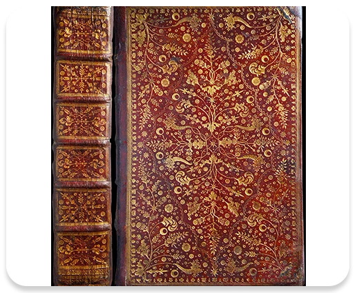  Developing the Release Marsh Library